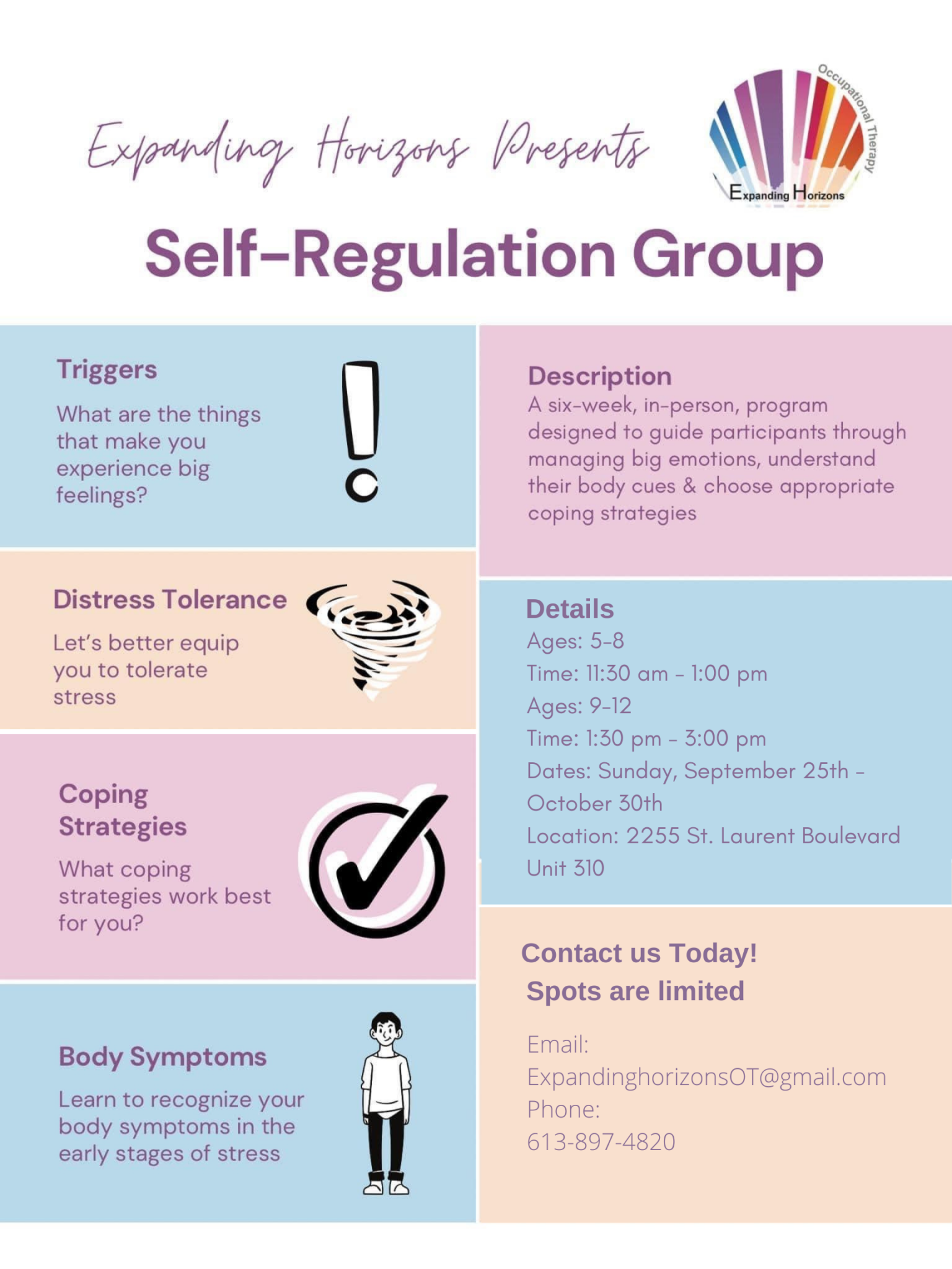 This image has an empty alt attribute; its file name is Self-Regulation-Poster-1536x2048.png